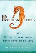 Poseidons Steed The Story Of Seahorses
