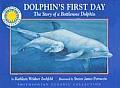 Dolphins First Day The Story of a Bottlenose Dolphin