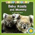 Baby Koala & Mommy