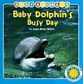 Baby Dolphin Busy Day