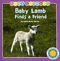 Baby Lamb Finds A Friend