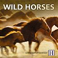 Wild Horses Of The World