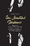 Our Beautiful Darkness: A Graphic Novel