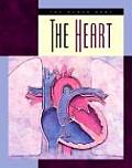 The Heart (Human Body)