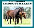 Thoroughbreds