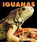 Iguanas (New Naturebooks)