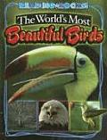 Worlds Most Beautiful Birds