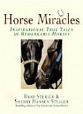 Horse Miracles Inspirational True Tale