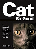 Cat Be Good A Foolproof Guide For The Comp