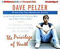 Privilege of Youth A Teenagers Story of Longing for Acceptance & Friendship