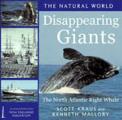 Diappearing Giants: The North Atlantic Right Whale