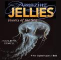 Amazing Jellies Jewels of the Sea