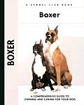 Boxer 064 Kennel Club