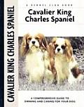 Cavalier King Charles Spaniel 094 Kennel Club