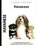 Havanese 182 Kennel Club