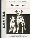 Dalmatian 118 Kennel Club