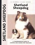 Shetland Sheepdog 315 Kennel Club