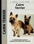 Cairn Terrier 082 Kennel Club