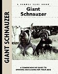 Giant Schnauzer 163 Kennel Club