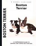 Boston Terrier 061 Kennel Club