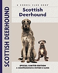 Scottish Deerhound 311 Kennel Club