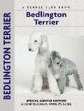 Bedlington Terrier 042 Kennel Club