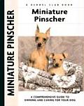 Miniature Pinscher 239 Kennel Club