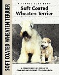 Soft Coated Wheaten Terrier 327 Kennel C