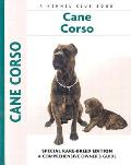 Cane Corso 085 Kennel Club
