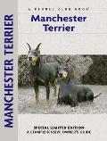 Manchester Terrier
