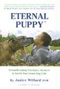 Eternal Puppy Groundbreaking Veterinary Advances to Enrich Your Senior Dogs Life