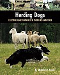 Herding Dogs Selecting & Training the Working Farm Dog