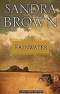 Rainwater (Large Print) (Thorndike Paperback Bestsellers)