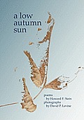 A Low Autumn Sun