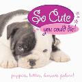 So Cute You Could Die!: Puppies, Kittens, Bunnies Galore!