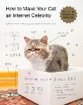 How to Make Your Cat an Internet Celebrity A Guide to Financial Freedom