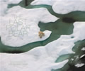 Last Polar Bear Facing the Truth of a Warming World
