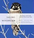 Owl & the Woodpecker Encounters with North Americas Most Iconic Birds