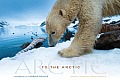 To The Arctic