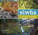 Elwha River Reborn