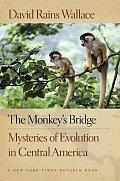 Monkeys Bridge Mysteries of Evolution in Central America