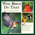 Why Birds Do That 40 Distinctive Bird Behaviors Explained & Photographed