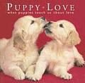 Puppy Love What Puppies Teach Us about Love