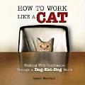 How to Work Like a Cat Walking with Confidence Through a Dog Eat Dog World