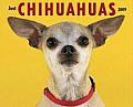 Cal09 Just Chihuahuas
