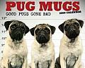 Cal09 Pug Mugs