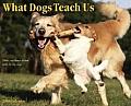 Cal09 What Dogs Teach Us