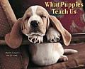 Cal09 What Puppies Teach Us