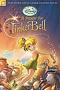 Disney Fairies Graphic Novel 6 A Present for Tinker Bell