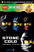 Lego Ninjago 07 Stone Cold